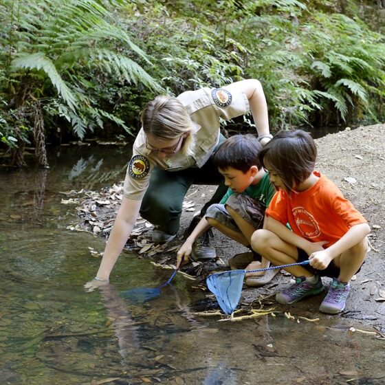 jr-rangers-big-basin